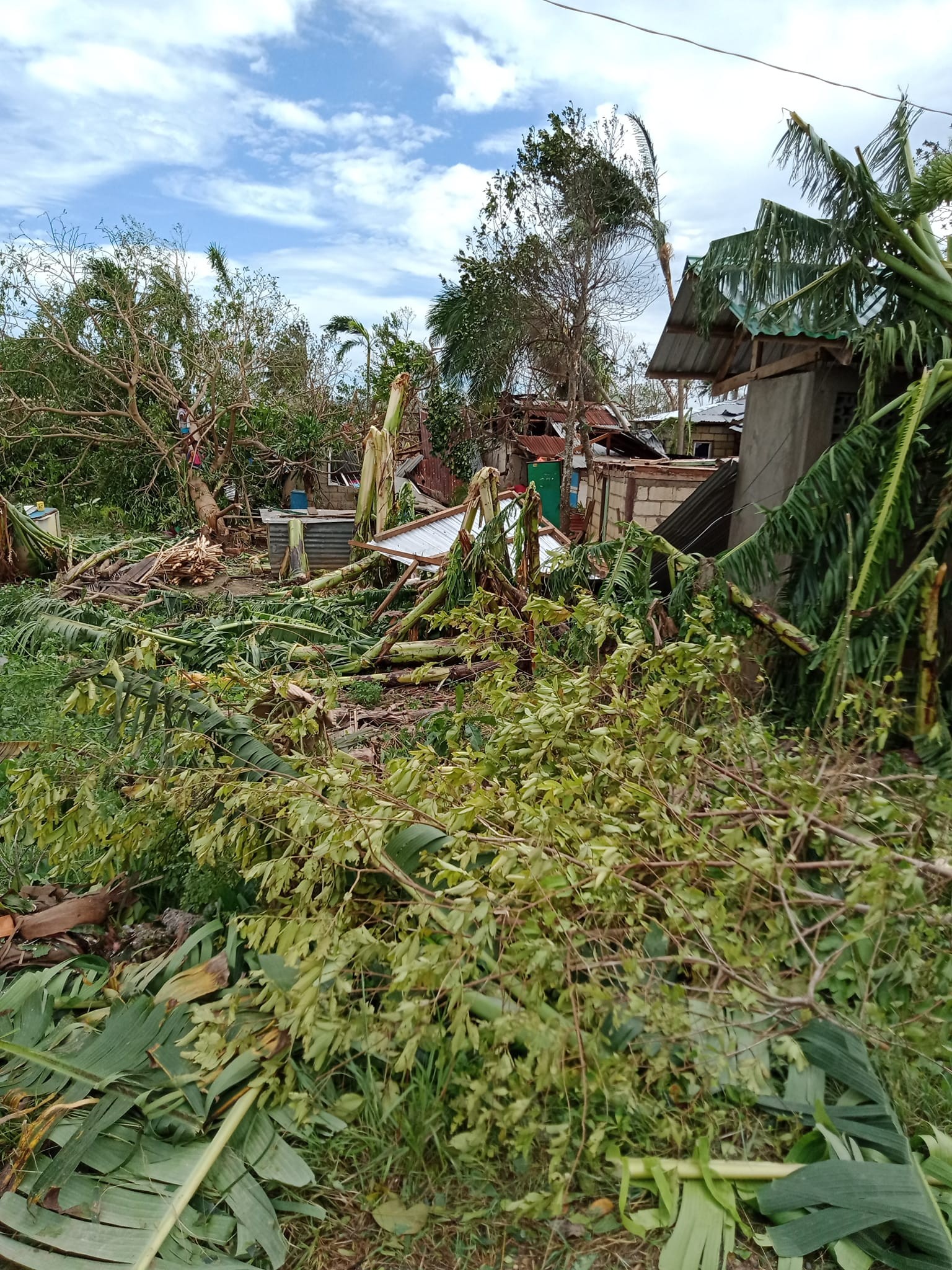 1 looc typhon 2021 1jpg