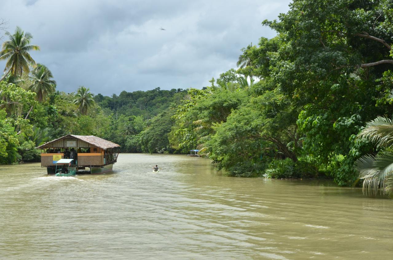 Loboc River