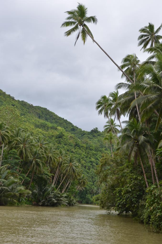 Loboc River