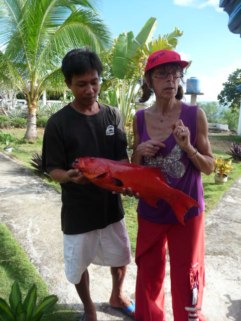 un vrai poisson rouge.!!!!